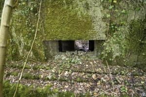 Ligne Maginot - BB349 - (Blockhaus pour arme infanterie) - Le créneau