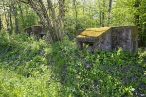 Ligne Maginot - BOIS DE LAUDREFANG NORD 4 - (Blockhaus pour arme infanterie) - Les blockhaus Bois de Laudrefang 3 et 4