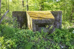 Ligne Maginot - BOIS DE LAUDREFANG NORD 4 - (Blockhaus pour arme infanterie) - 