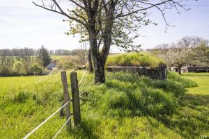 Ligne Maginot - CAMP DE ZIMMING 2 - (Blockhaus pour arme infanterie) - Le blockhaus est partiellement remblayé