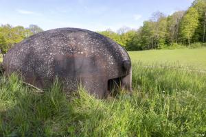 Ligne Maginot - HACKENBERG - A19 - (Ouvrage d'artillerie) - Bloc 8
La cloche GFM Est