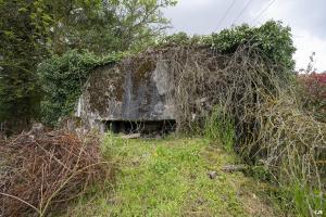 Ligne Maginot - BB356 - DALSTEIN EST - (Blockhaus pour arme infanterie) - 
