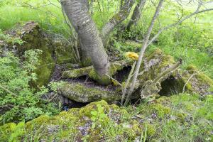 Ligne Maginot - KNOPP 6 - (Blockhaus de type indéterminé) - Les ruines du blockhaus