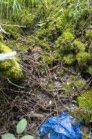 Ligne Maginot - M12B - KNOPP 3 - (Blockhaus pour arme infanterie) - Le tranchée