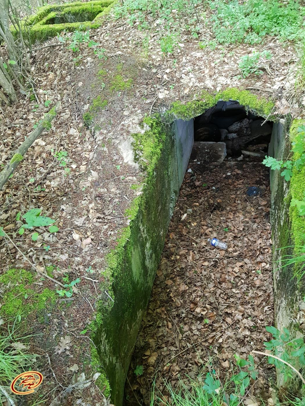 Ligne Maginot - MITTELSWALD 5 - (Blockhaus pour arme infanterie) -  - Paul HARY