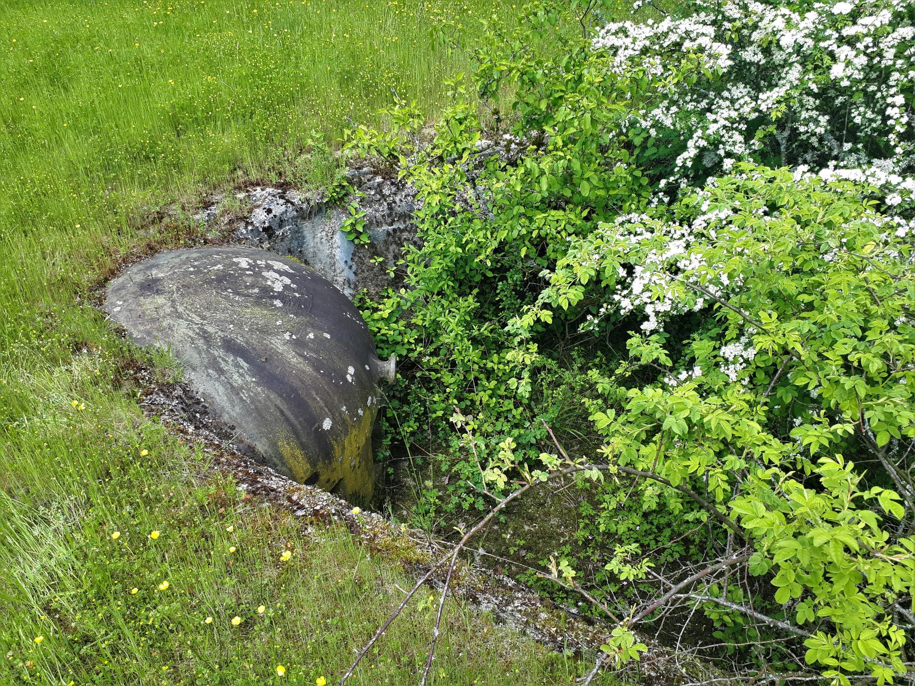 Ligne Maginot - LEMBACH - (Ouvrage d'infanterie) - Bloc 3
Cloche JM de gauche - Gregory Fuchs