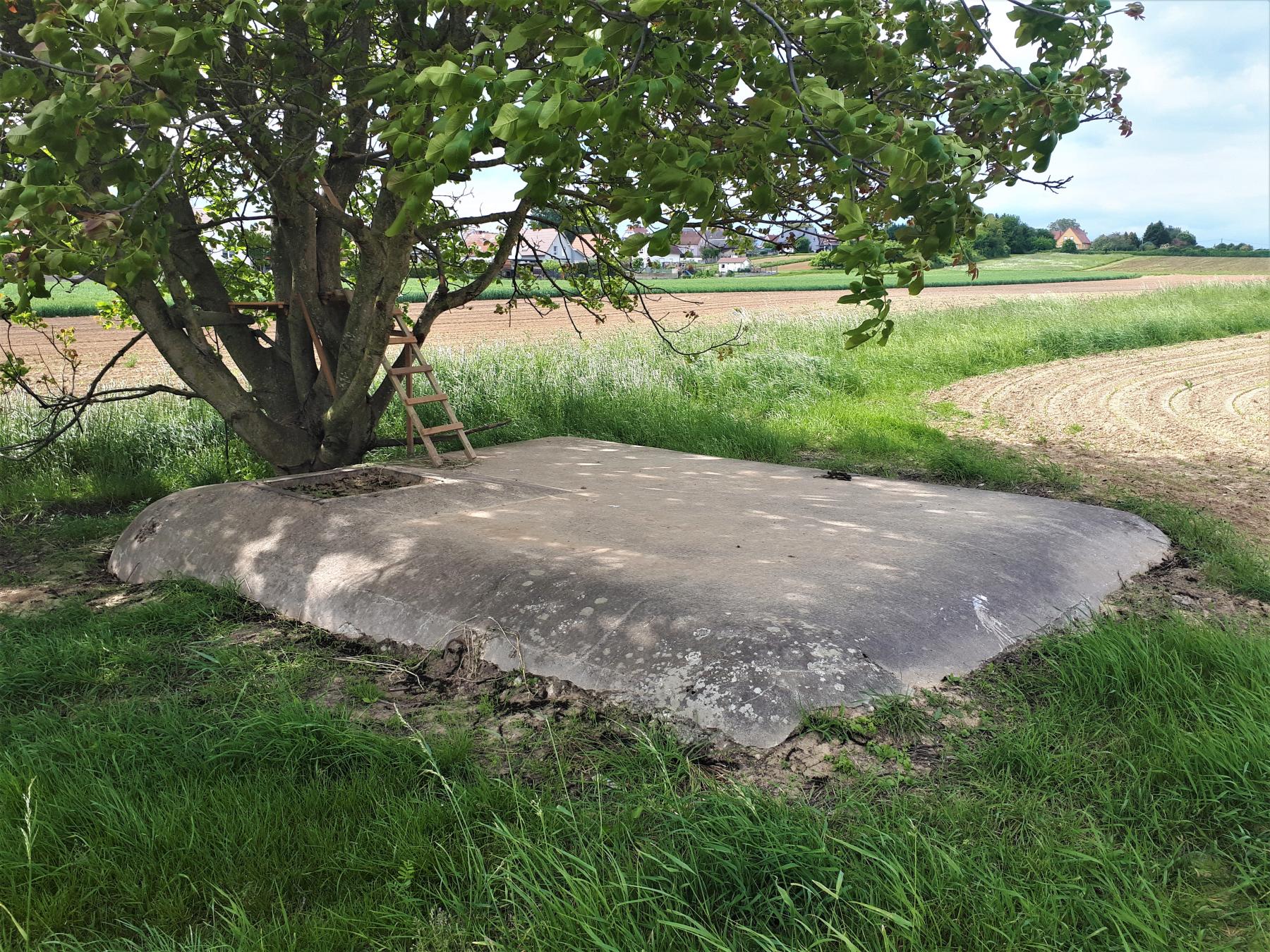 Ligne Maginot - J - (Chambre de coupure) -  - Gregory Fuchs