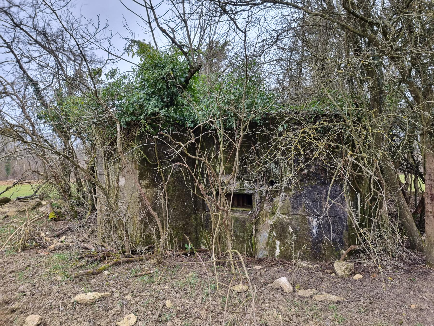 Ligne Maginot - REDELBORN - (Blockhaus pour arme infanterie) - Façade de tir du blockhaus avec son créneau pour mitrailleuse.  - DK_Antoine4