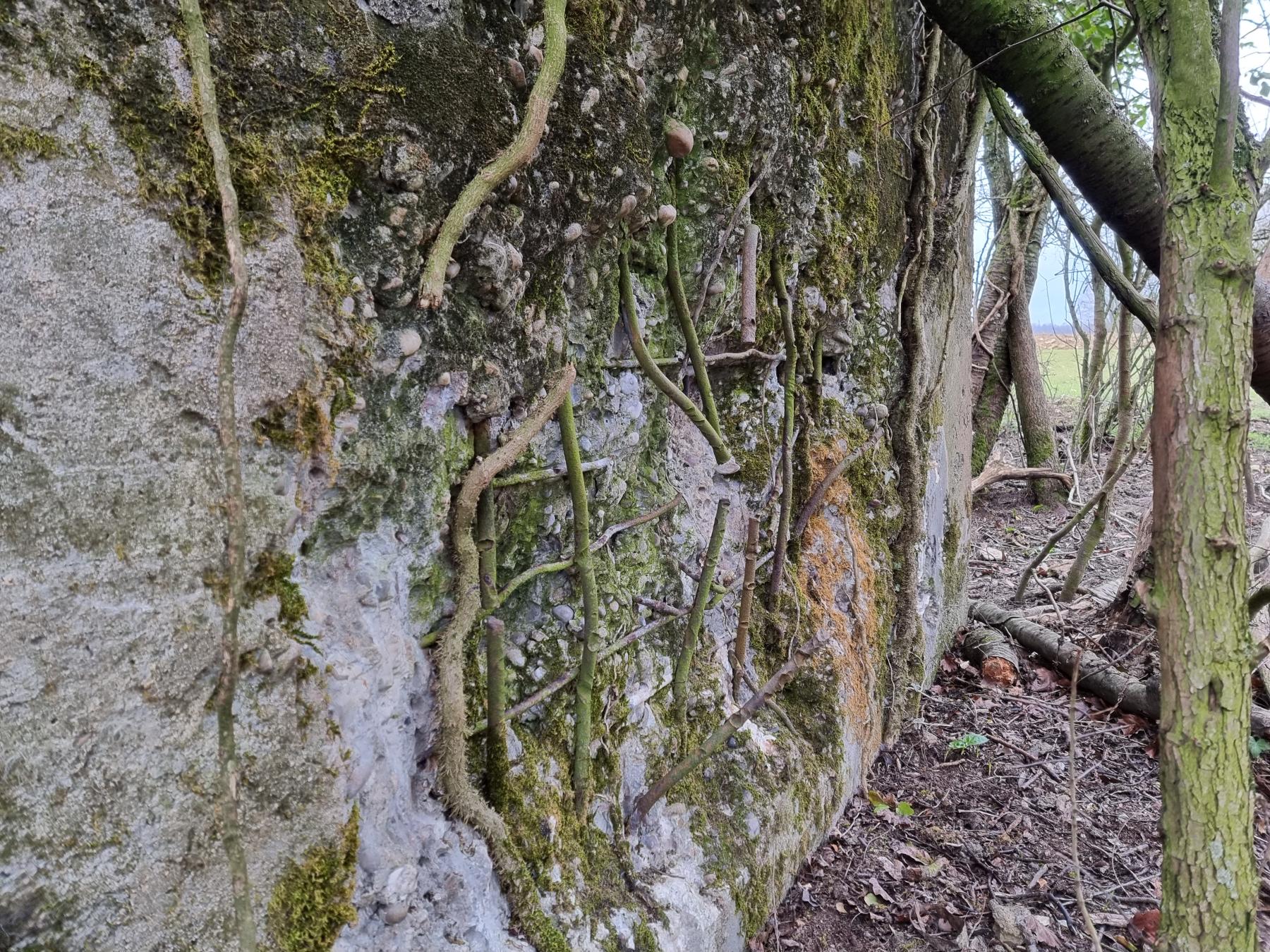 Ligne Maginot - REDELBORN - (Blockhaus pour arme infanterie) - Impacts sur le mur latéral gauche du blockhaus (en se plaçant dans sa direction de tir) - DK_Antoine4