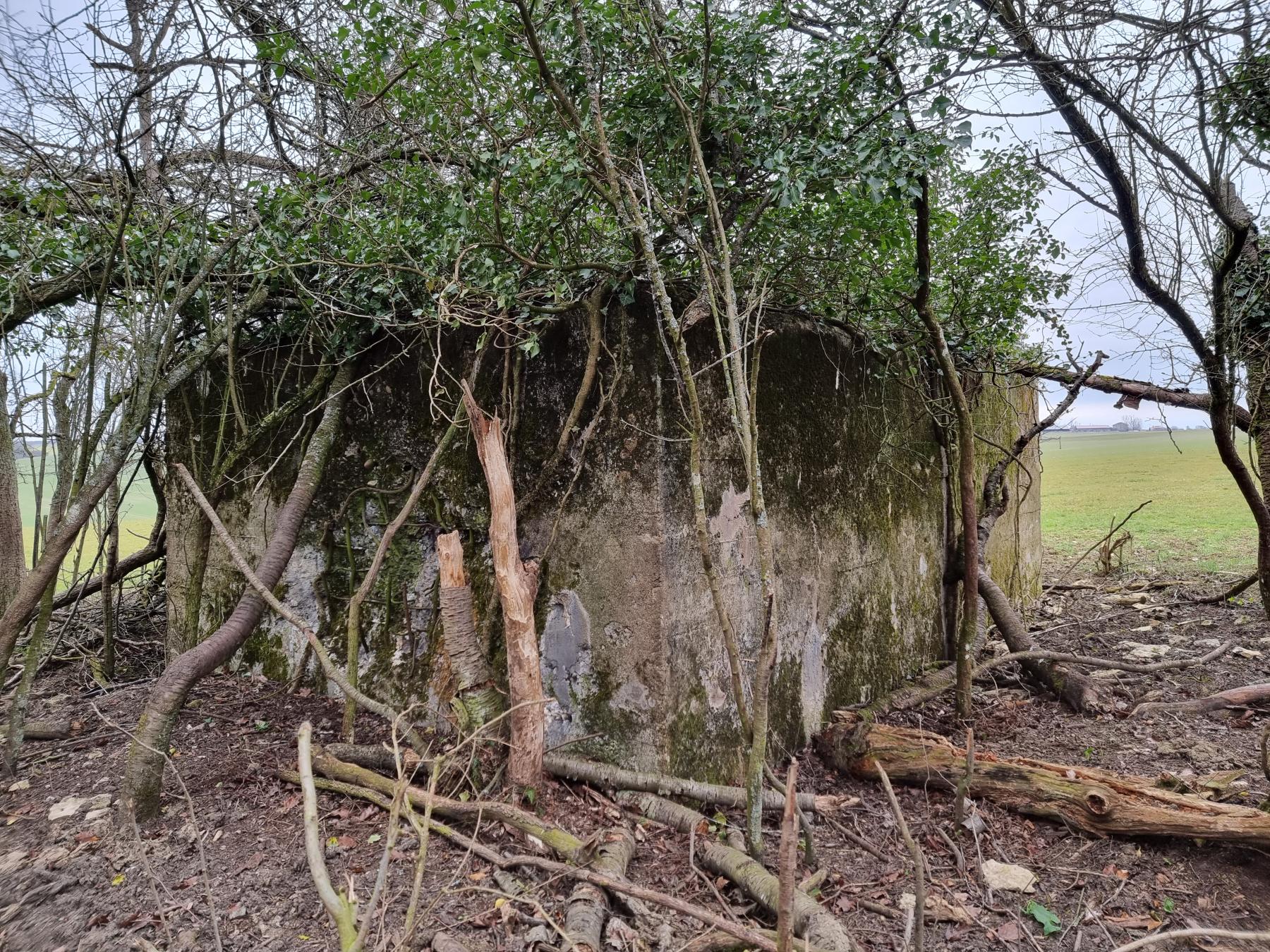 Ligne Maginot - REDELBORN - (Blockhaus pour arme infanterie) - Arrière du blockhaus - DK_Antoine4
