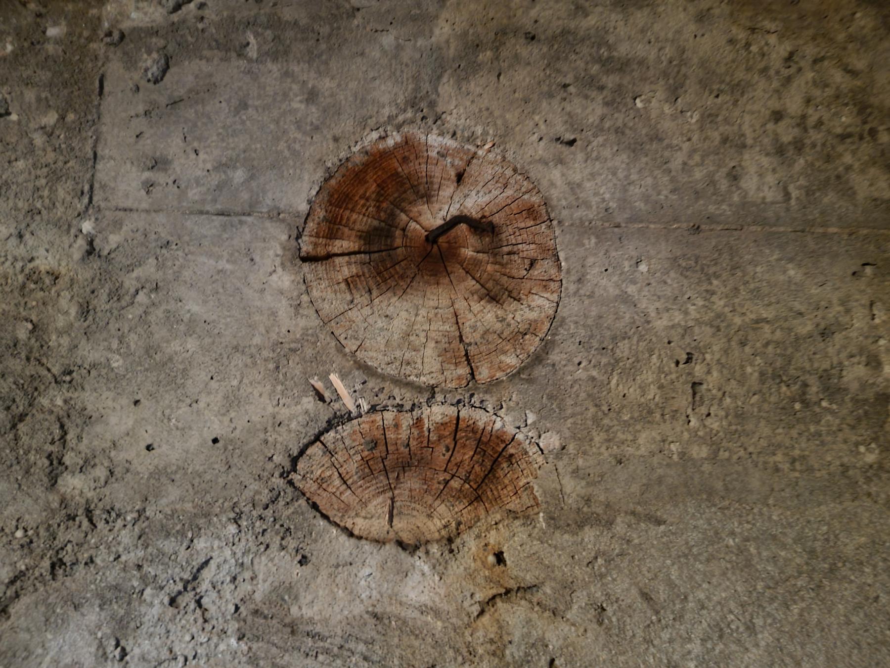 Ligne Maginot - REDELBORN - (Blockhaus pour arme infanterie) - Curieuse présence de rondins dans le béton, sans doute des vestiges de la construction.  - DK_Antoine4