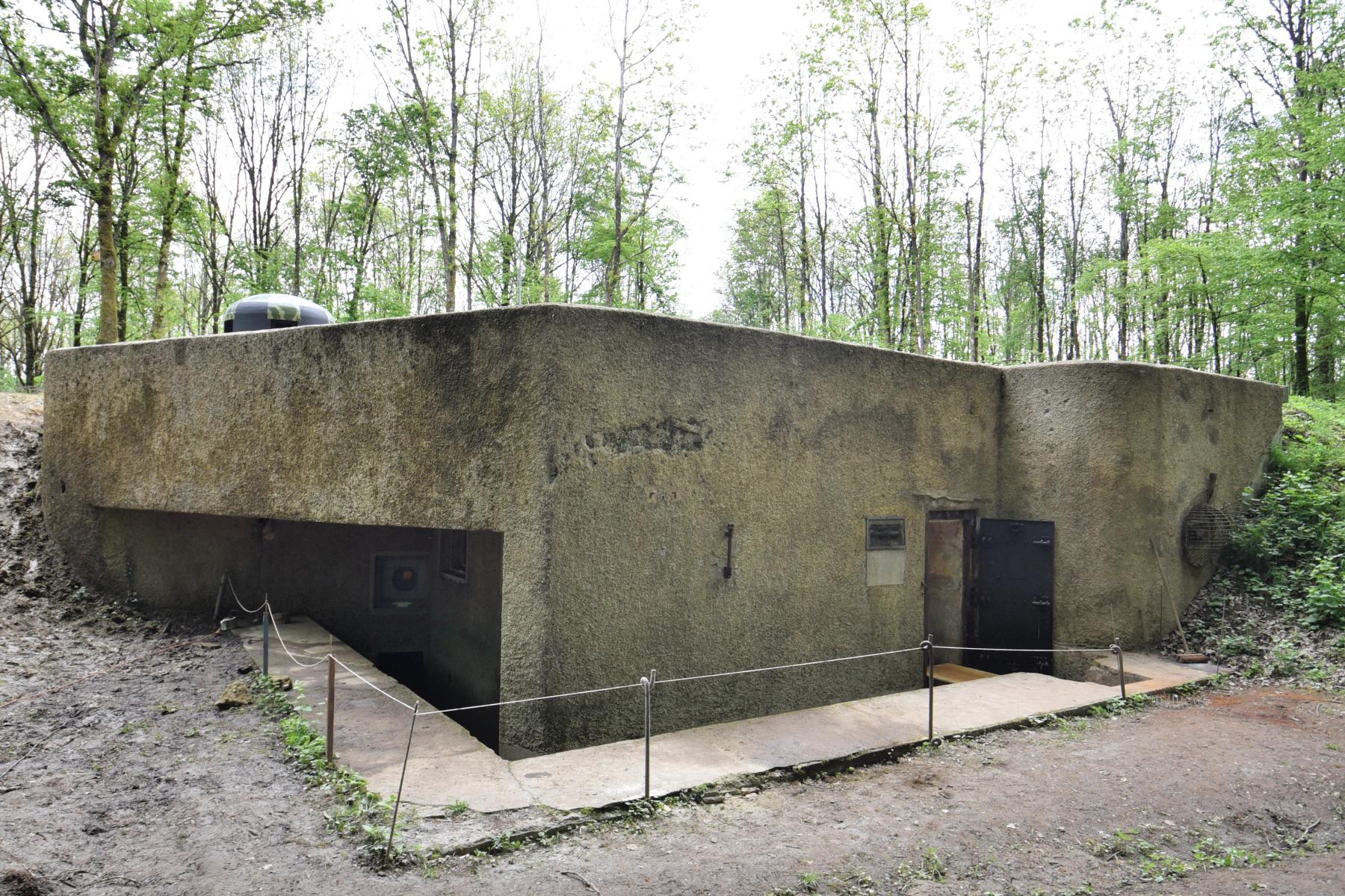 Ligne Maginot - BOIS DE KANFEN OUEST - C42 - (Casemate d'infanterie - Simple) -  - Ludovic KNAPP