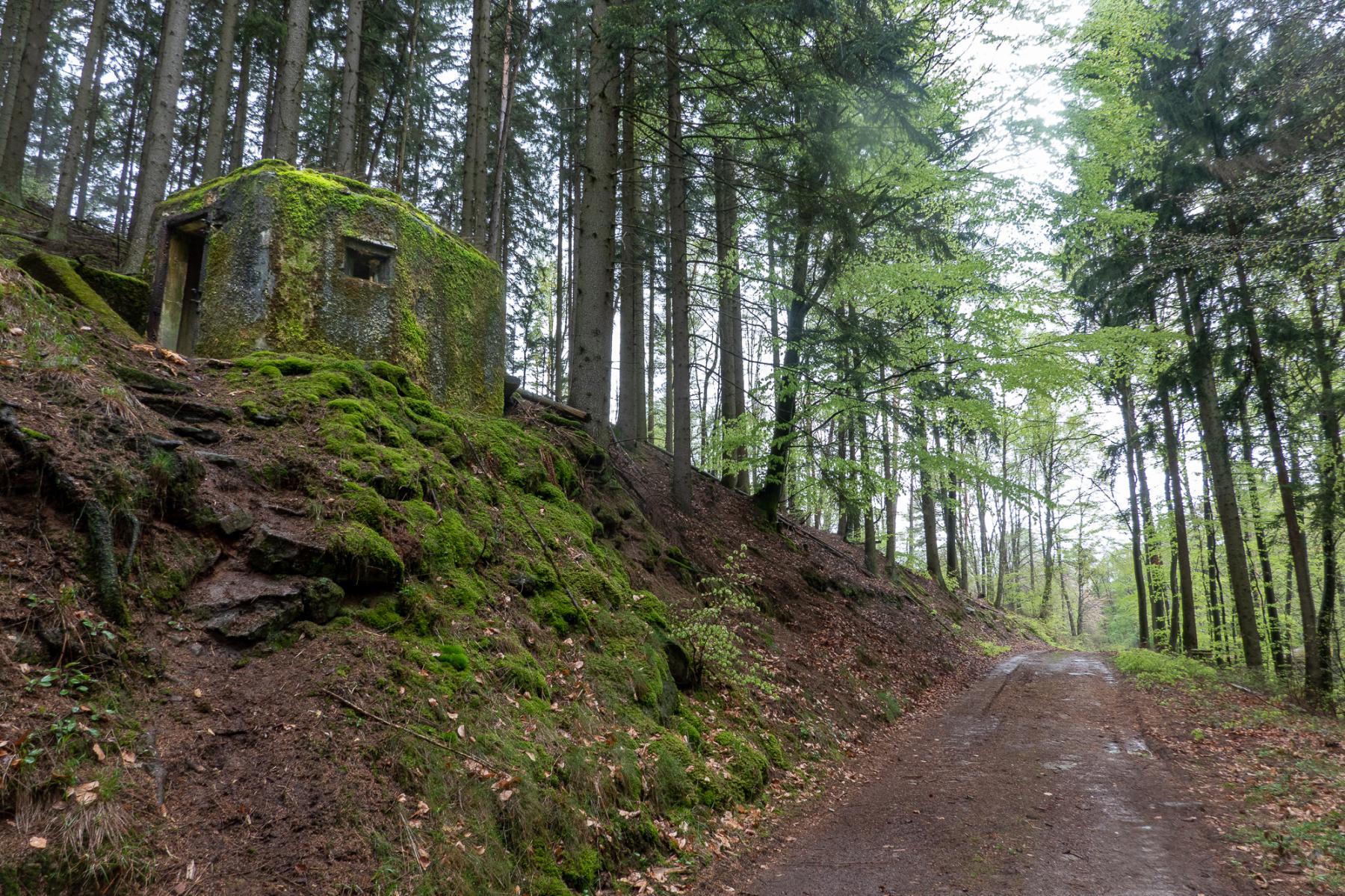 Ligne Maginot - FM77 - BETZENTHAL 4 - (Blockhaus pour arme infanterie) - Le bloc domine le chemin qui mène au col de Gunsthal - Michel Teiten