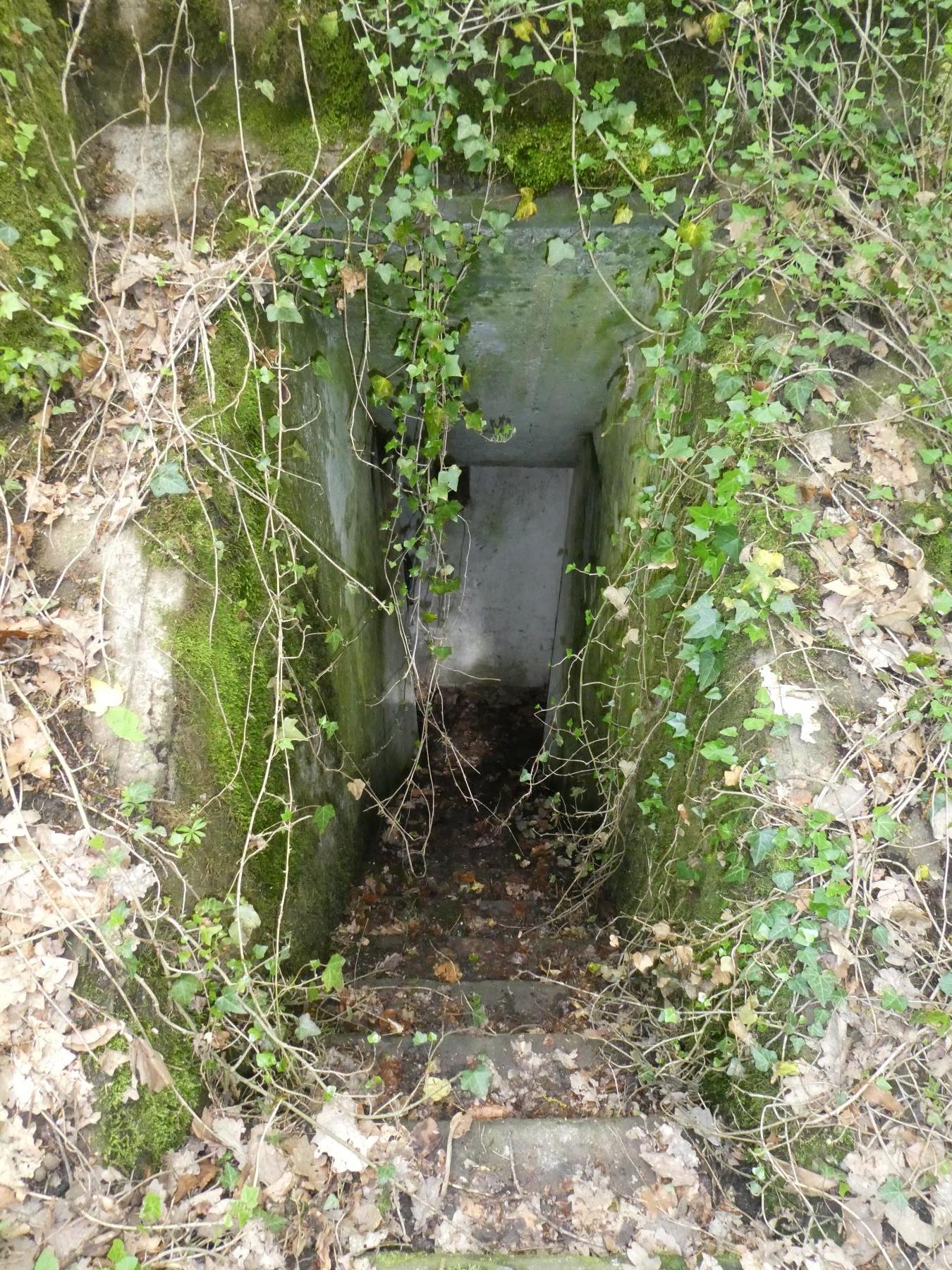 Ligne Maginot - MEMMELSHOFFEN (22° RIF) - (PC de Sous-Secteur) - Entrée - ELLENA Daniel-CUNY Philippe