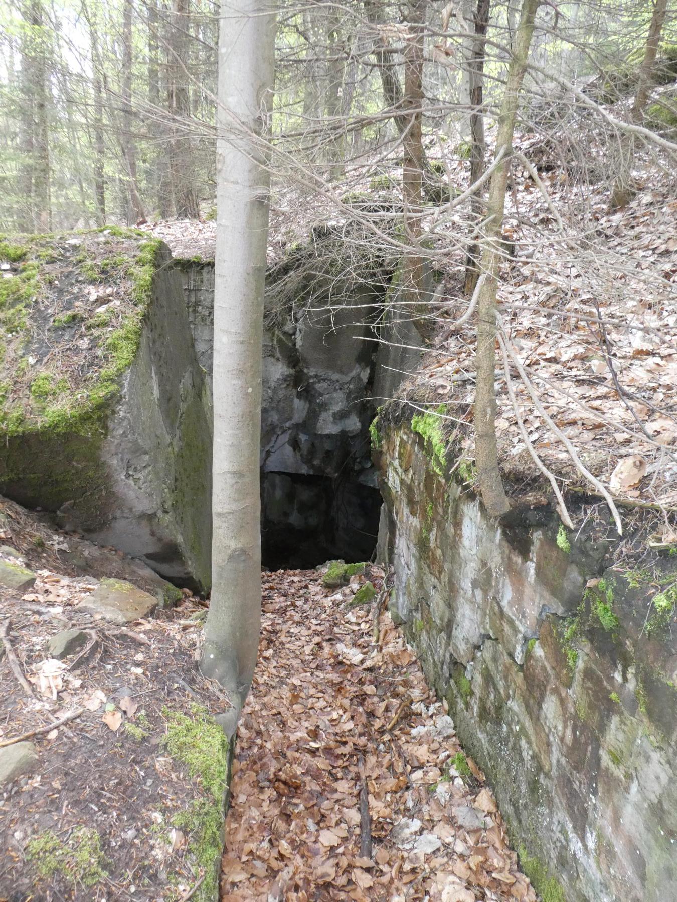 Ligne Maginot - HOCHWALD C2 - (Casemate d'infanterie - Simple) - Entrée - ELLENA Daniel-CUNY Philippe