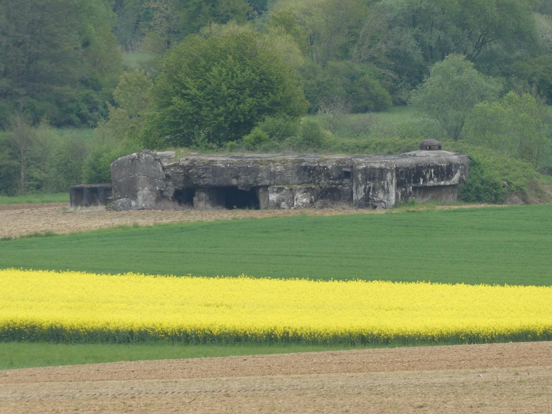 Ligne Maginot - SELTZ - SELTZBACH - (Casemate d'infanterie - Double) - La casemate de la Seltz vue depuis l'observatoire de Hatten - ELLENA Daniel - CUNY Philippe