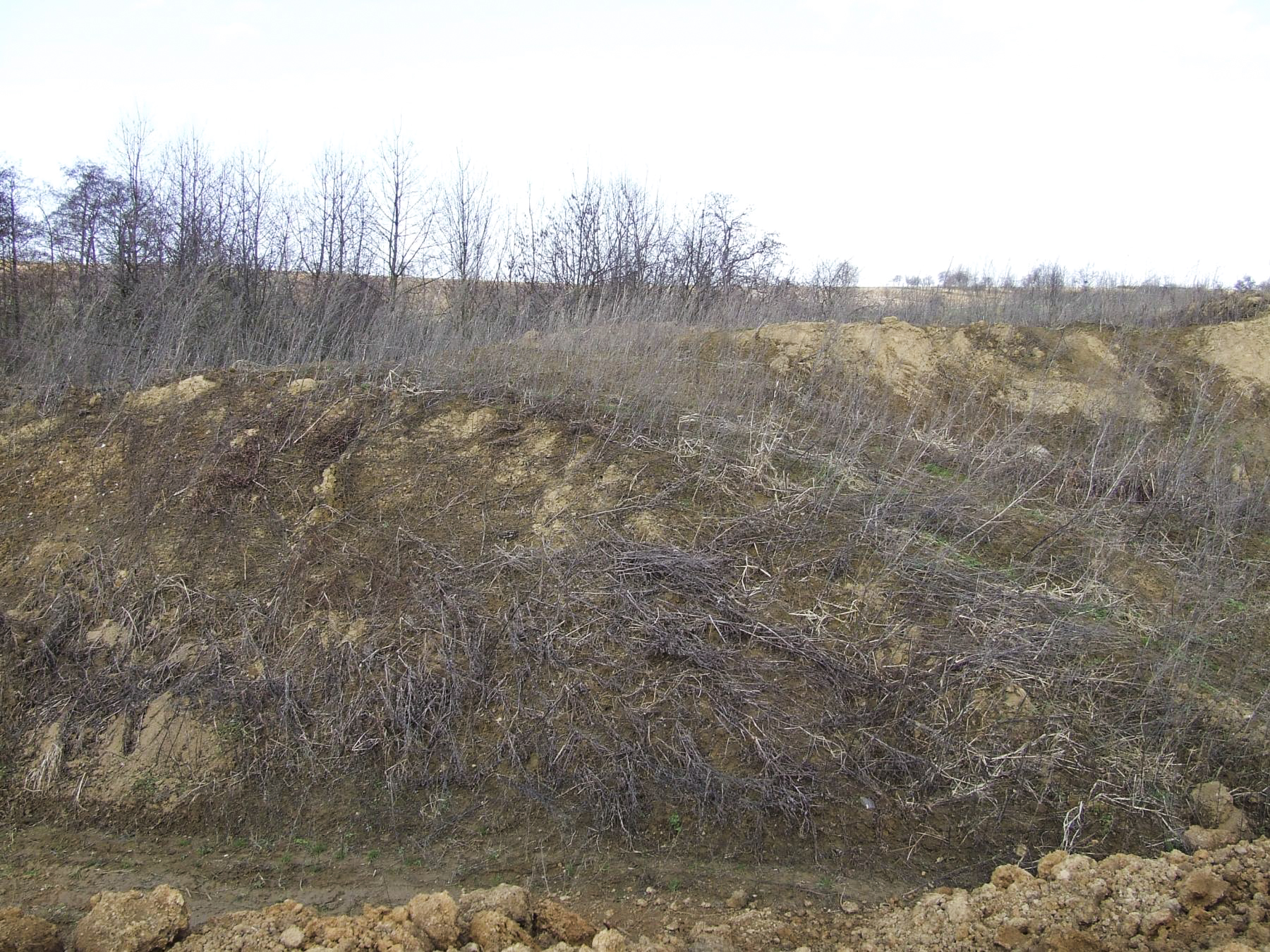 Ligne Maginot - PLAN - (Casemate d'infanterie - Simple) - Le blockhaus complètement merlonné.
2011 - Stenger Mathieu