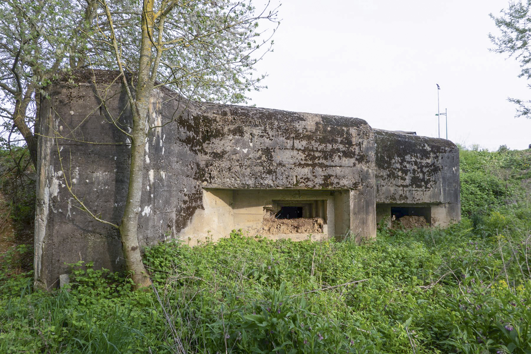Ligne Maginot - PLAN - (Casemate d'infanterie - Simple) -  - Michel Teiten