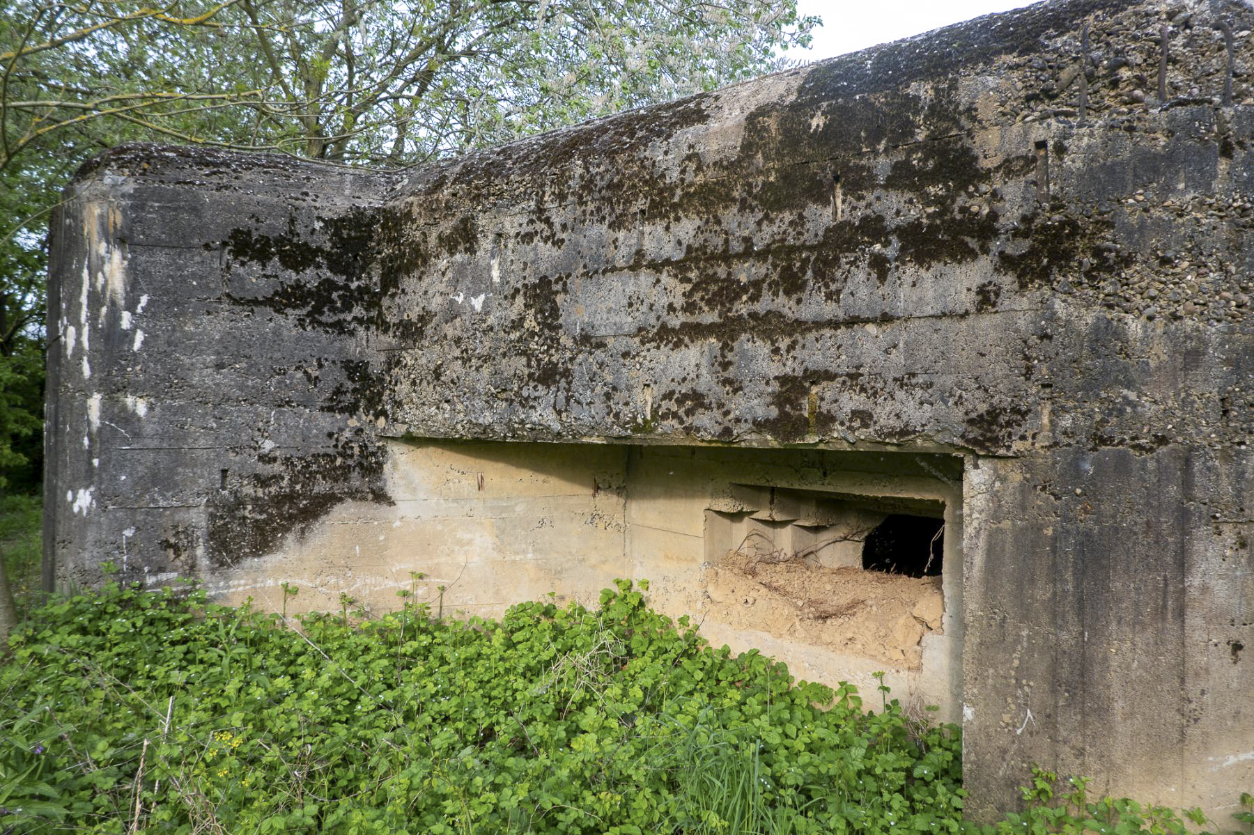 Ligne Maginot - PLAN - (Casemate d'infanterie - Simple) -  - Michel Teiten