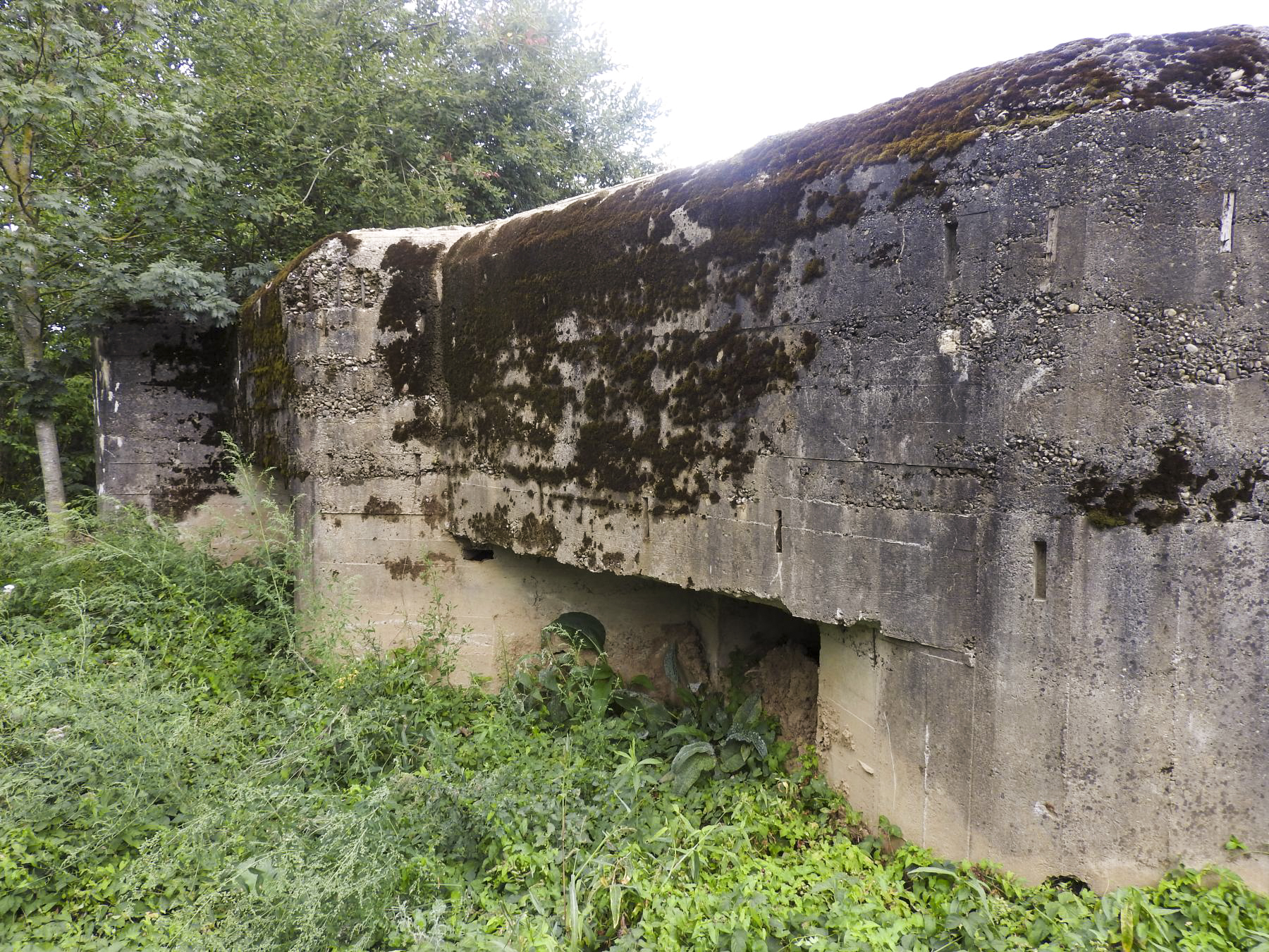 Ligne Maginot - PLAN - (Casemate d'infanterie - Simple) - La façade - Stenger Mathieu
