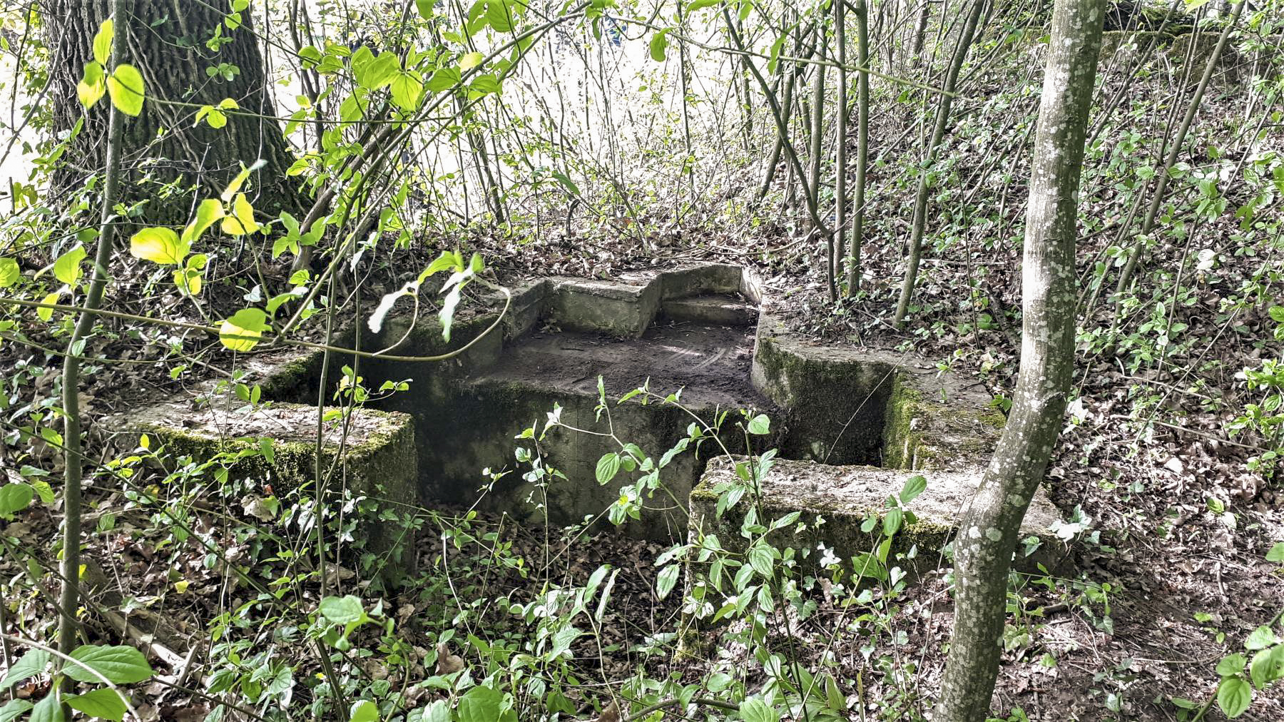 Ligne Maginot - NIEDERBETSCHDORF 1 - (Cuve pour arme d'infanterie) -  - Gregory Fuchs