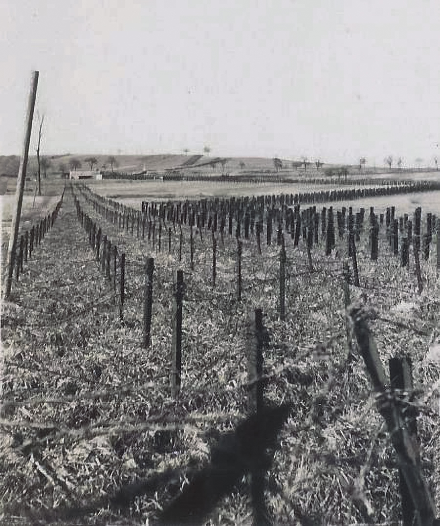 Ligne Maginot - OBERROEDERN SUD - RIEFFEL - (Casemate d'infanterie - Double) - La casemate en arrière plan des réseaux bas et AC