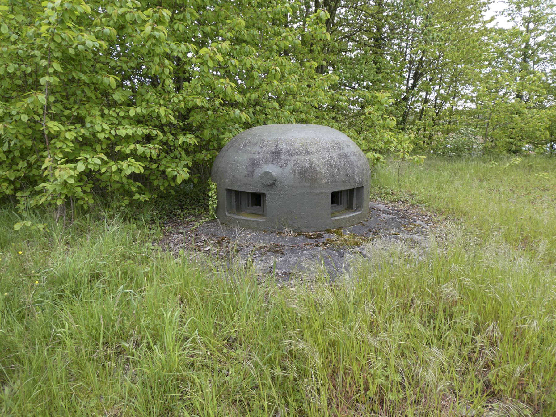 Ligne Maginot - HATTEN - O1 - (Observatoire d'artillerie) - La cloche GFM - ELLENA Daniel - CUNY Philippe