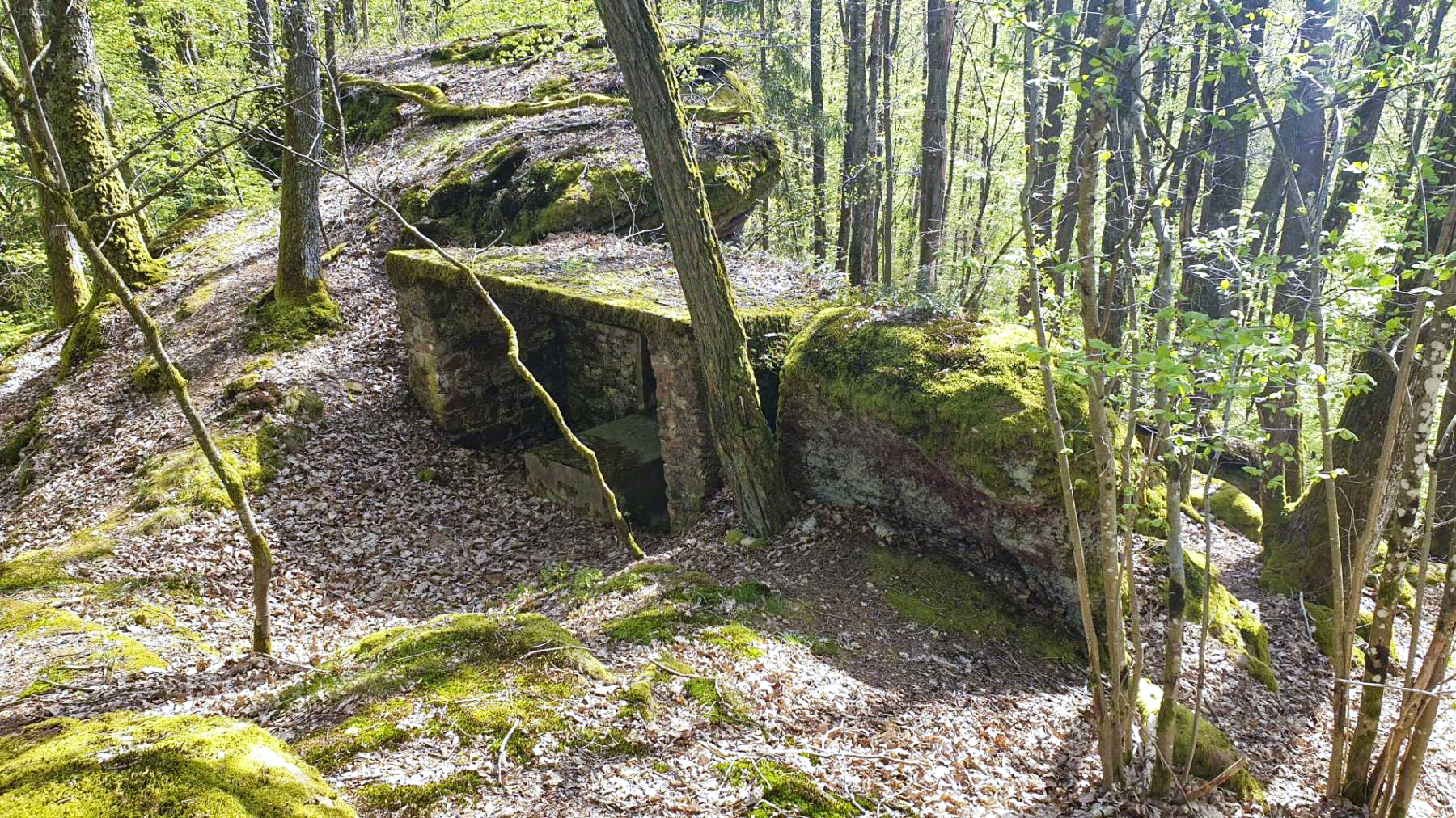 Ligne Maginot - HASPELSCHIEDT 7 (AVANT POSTE) - (Blockhaus pour arme infanterie) -  - Meyer Freddy