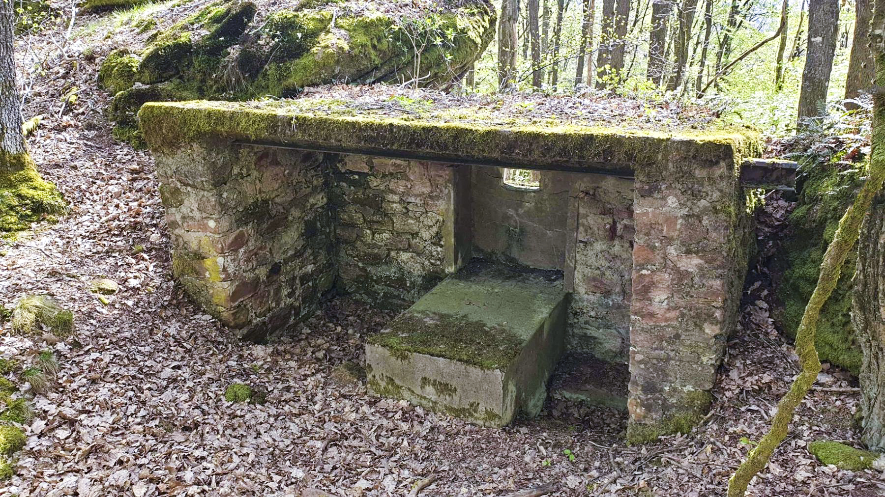 Ligne Maginot - HASPELSCHIEDT 7 (AVANT POSTE) - (Blockhaus pour arme infanterie) -  - Meyer Freddy
