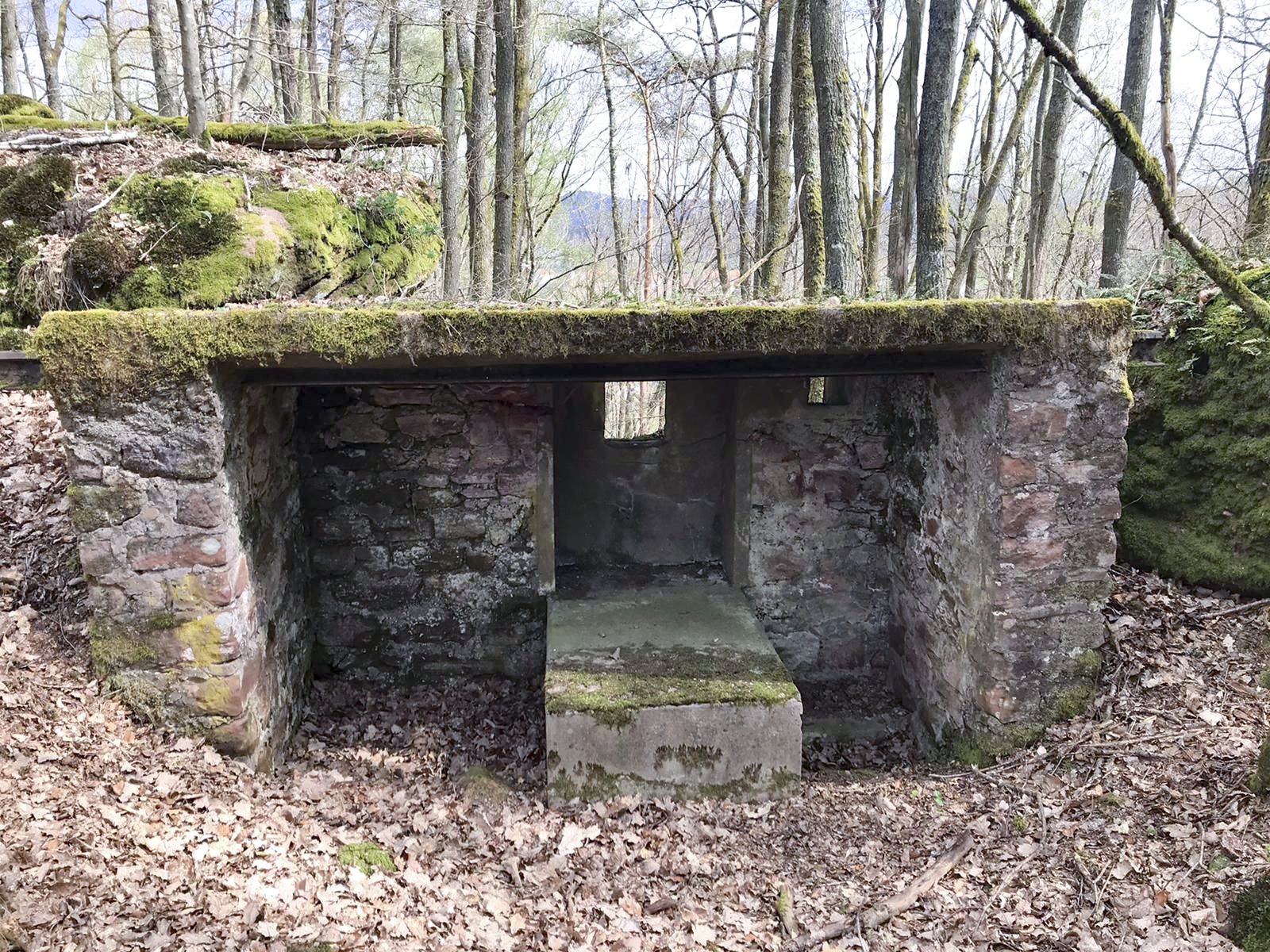 Ligne Maginot - HASPELSCHIEDT 7 (AVANT POSTE) - (Blockhaus pour arme infanterie) -  - Meyer Freddy