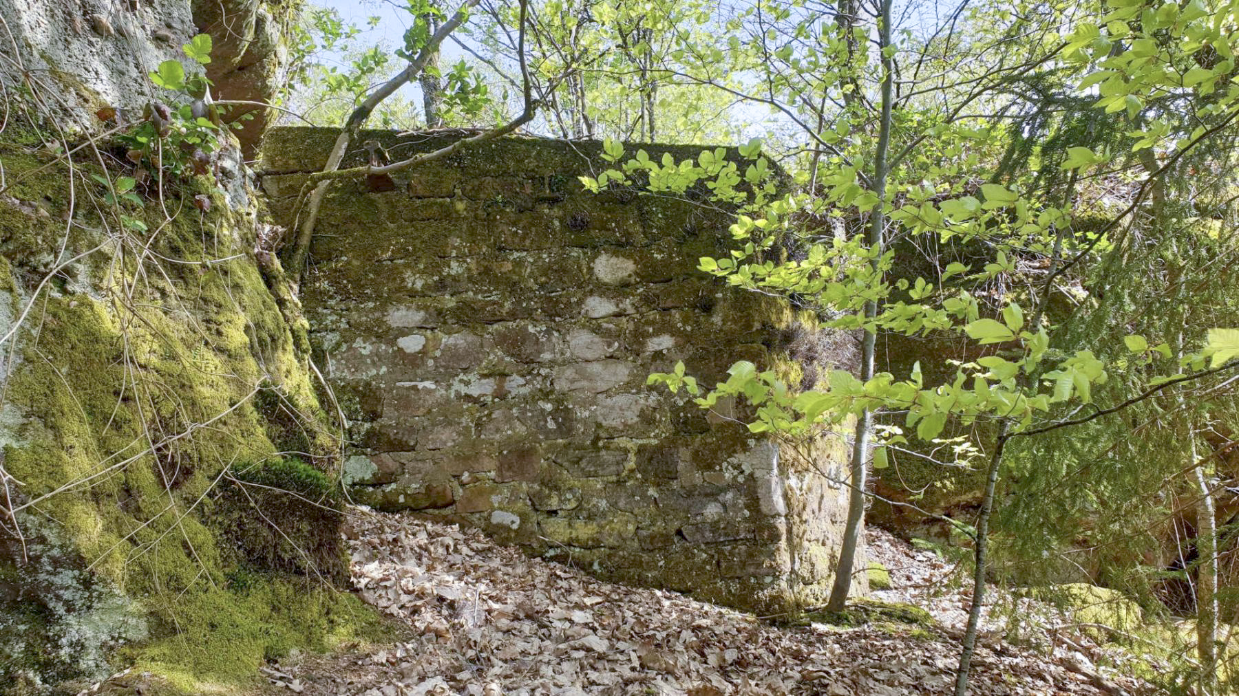 Ligne Maginot - HASPELSCHIEDT 6 (AVANT POSTE) - (Blockhaus pour arme infanterie) -  - Meyer Freddy