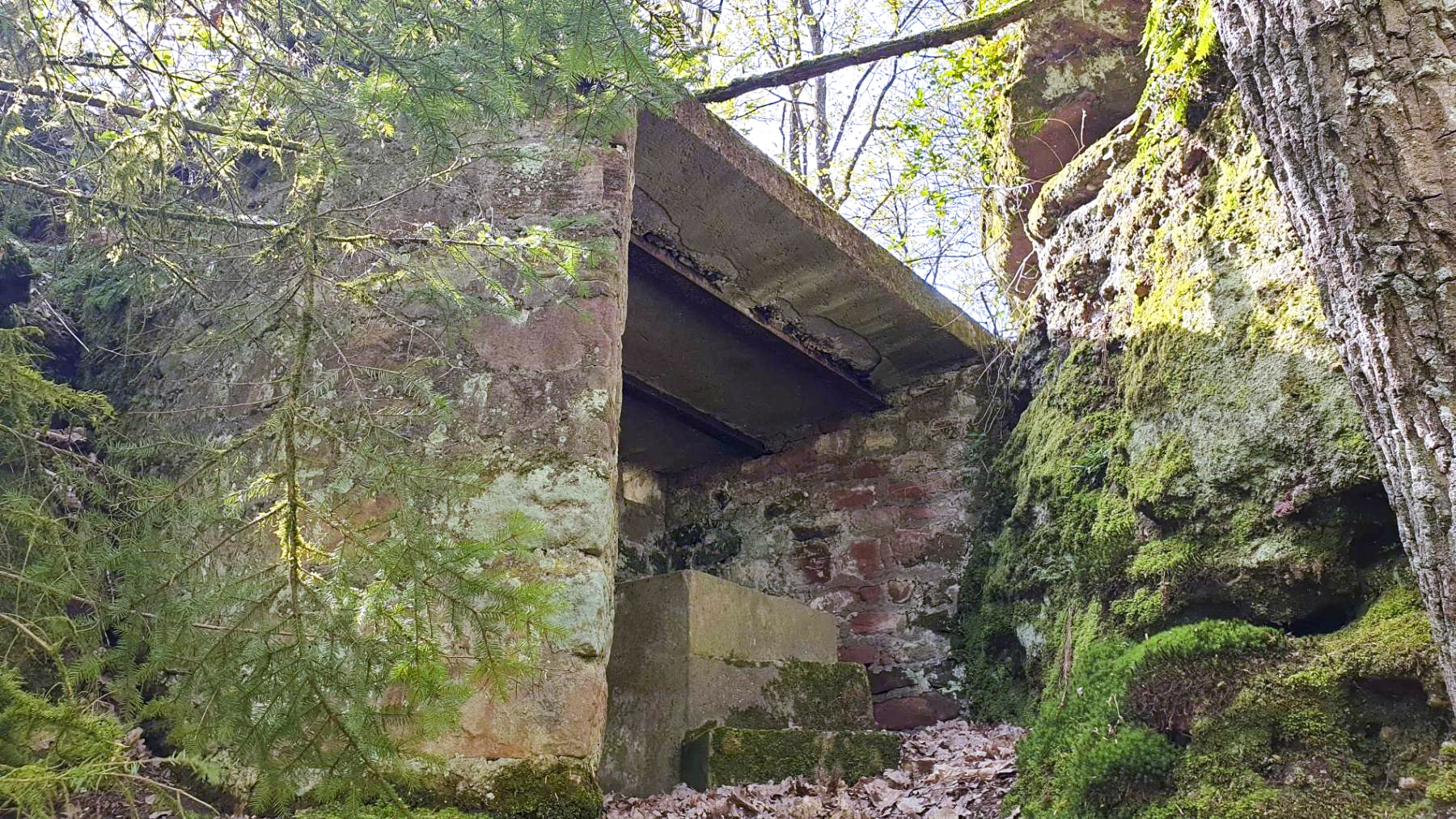 Ligne Maginot - HASPELSCHIEDT 6 (AVANT POSTE) - (Blockhaus pour arme infanterie) -  - Meyer Freddy