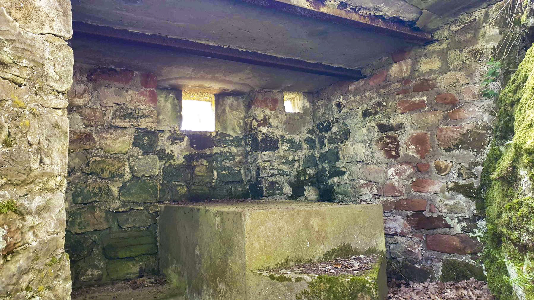 Ligne Maginot - HASPELSCHIEDT 6 (AVANT POSTE) - (Blockhaus pour arme infanterie) -  - Meyer Freddy