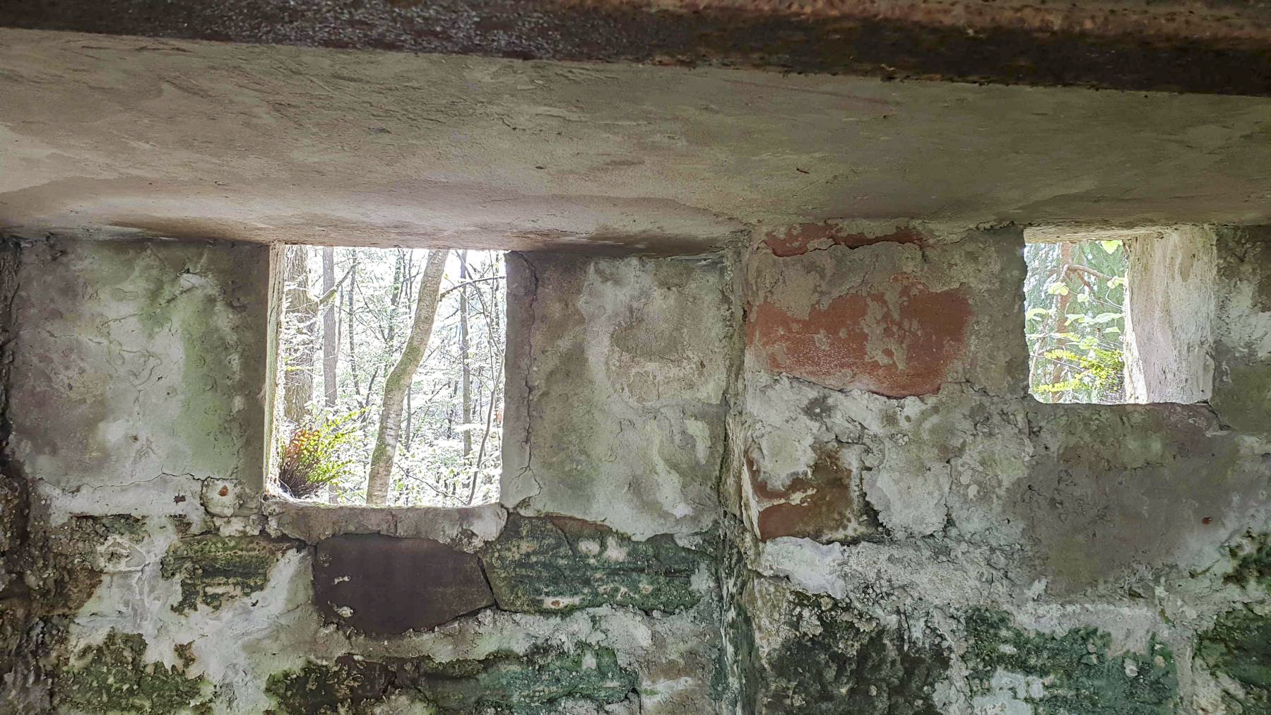 Ligne Maginot - HASPELSCHIEDT 6 (AVANT POSTE) - (Blockhaus pour arme infanterie) -  - Meyer Freddy