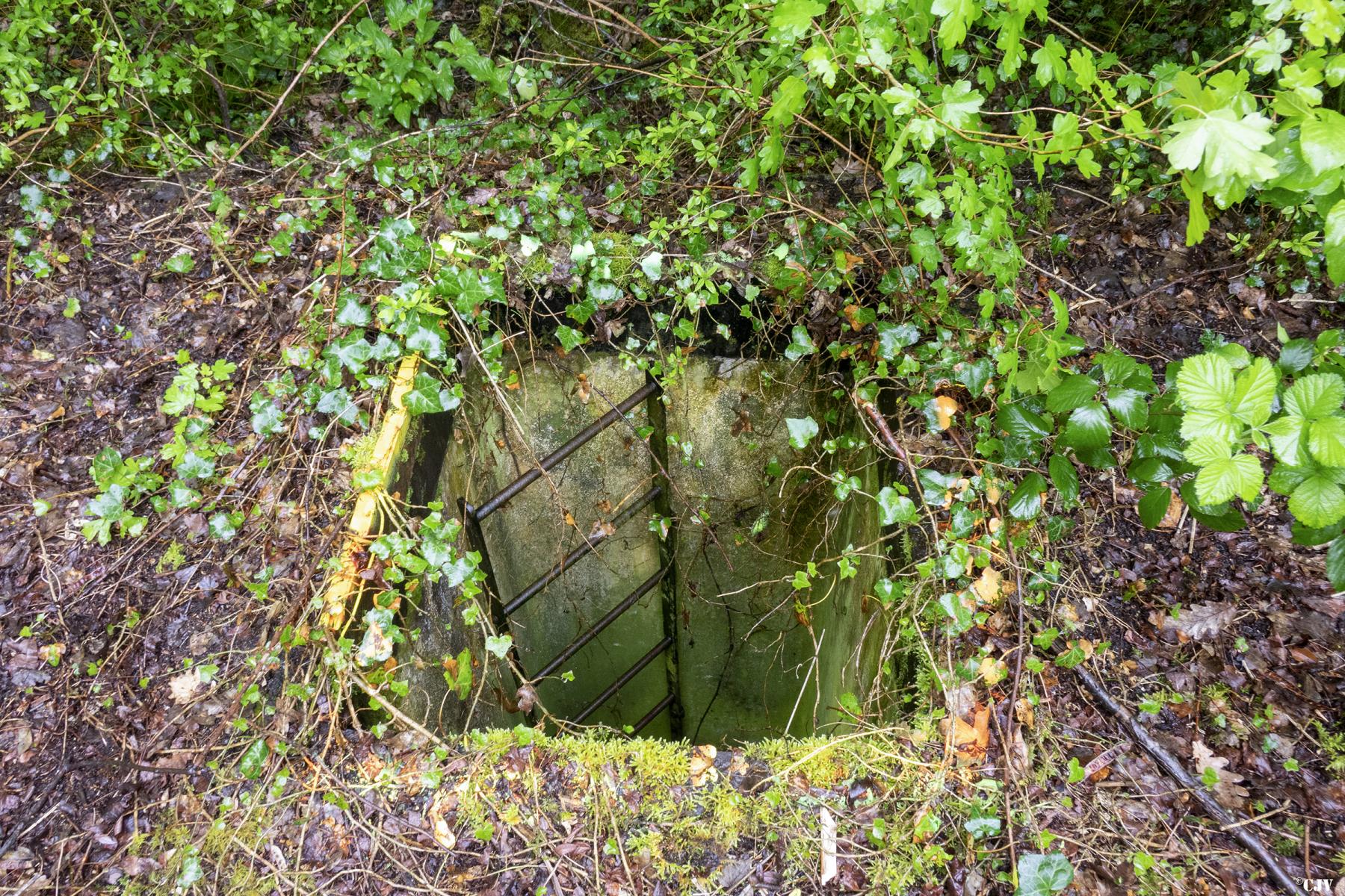 Ligne Maginot - Q1 - (Chambre de coupure) -  - Lia VERMEULEN