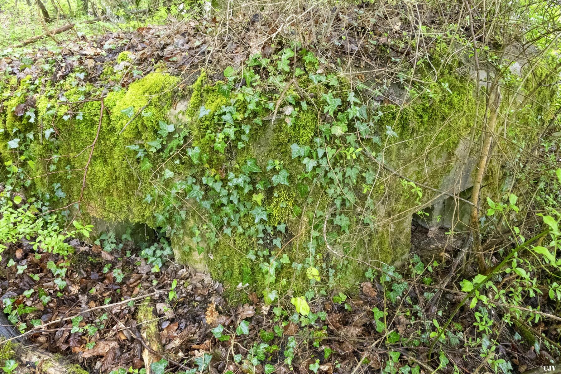 Ligne Maginot - M15 - BOIS DE LANGENSOULTZBACH 2 - (Blockhaus pour arme infanterie) - Les créneaux - Lia VERMEULEN