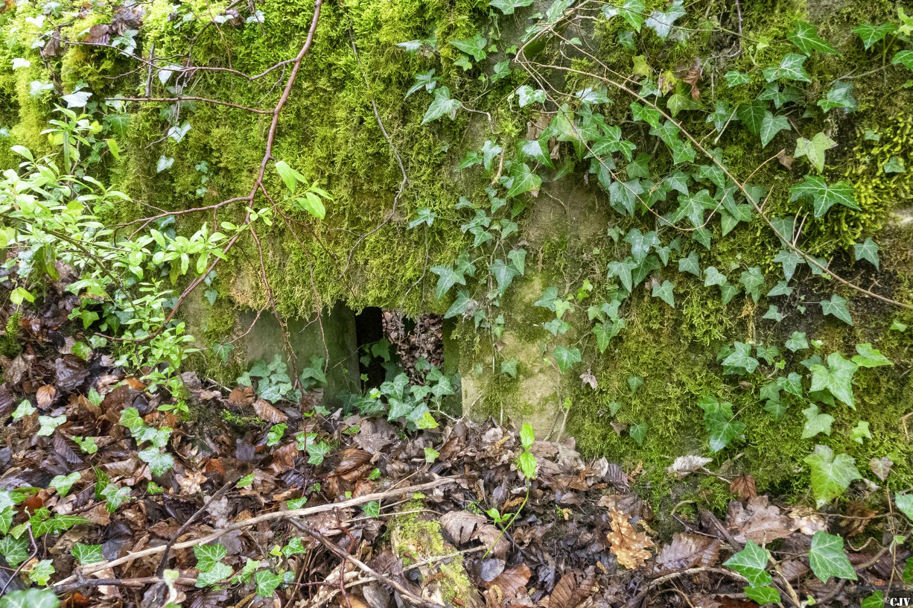 Ligne Maginot - M15 - BOIS DE LANGENSOULTZBACH 2 - (Blockhaus pour arme infanterie) - Un des créneaux - Lia VERMEULEN