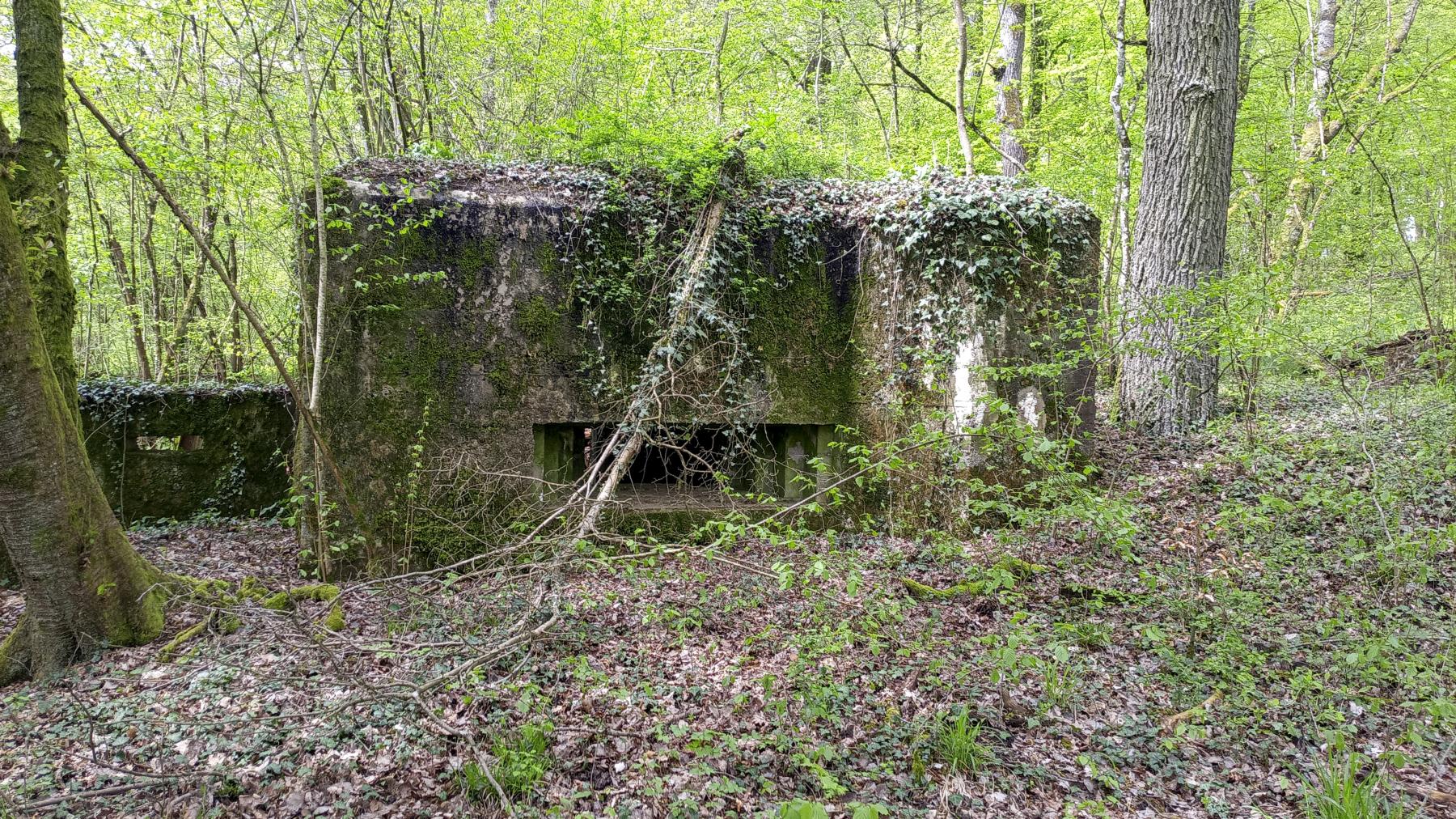 Ligne Maginot - CB202 - RETTELBOURG 1 - (Blockhaus pour canon) -  - Marc Fossoul