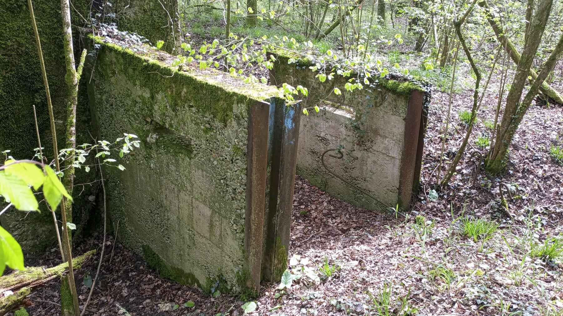 Ligne Maginot - CB202 - RETTELBOURG 1 - (Blockhaus pour canon) - Les pans de mur du blockhaus annexe - Marc Fossoul
