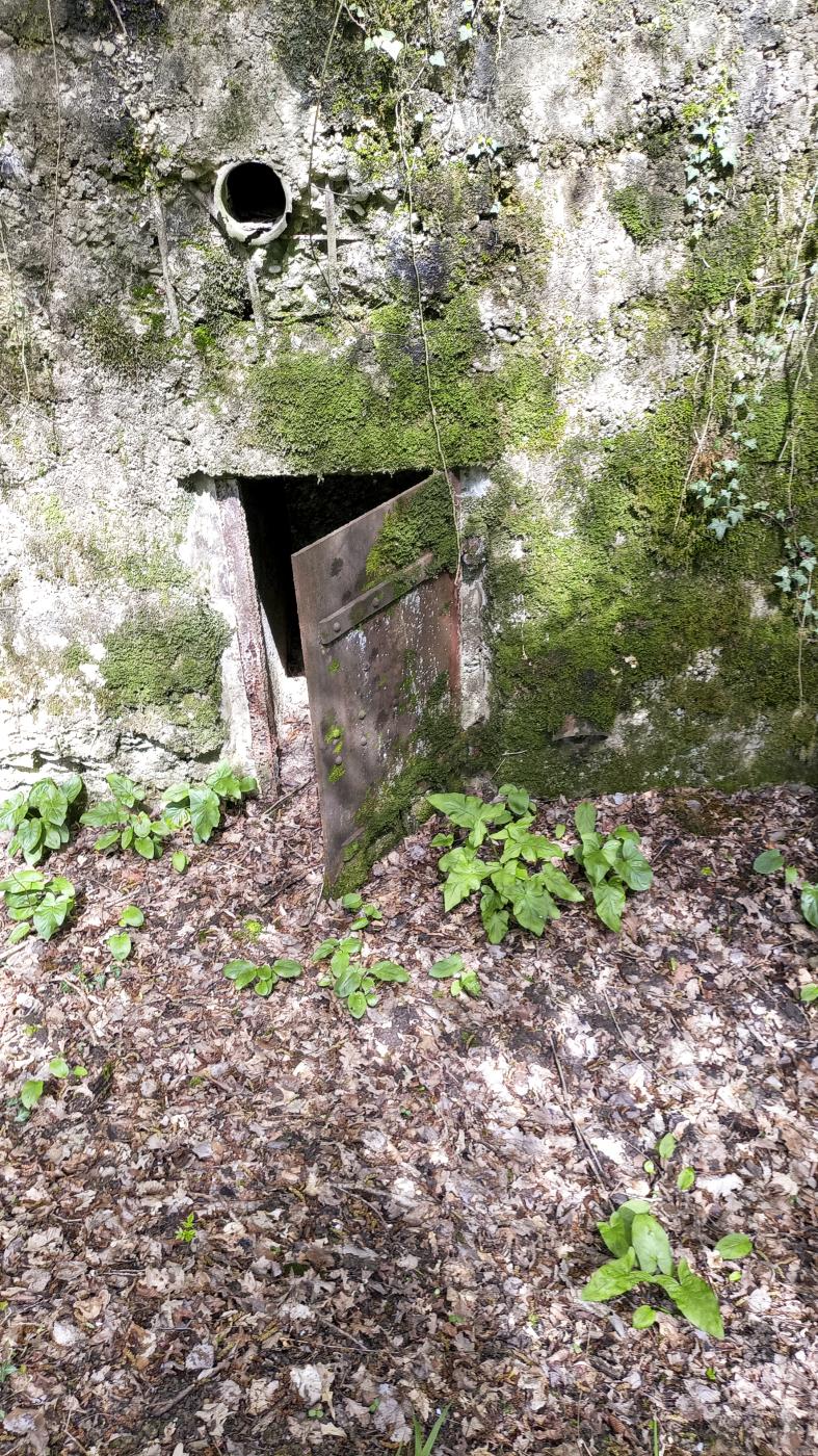Ligne Maginot - CB202 - RETTELBOURG 1 - (Blockhaus pour canon) - L'entrée du personnel - Marc Fossoul