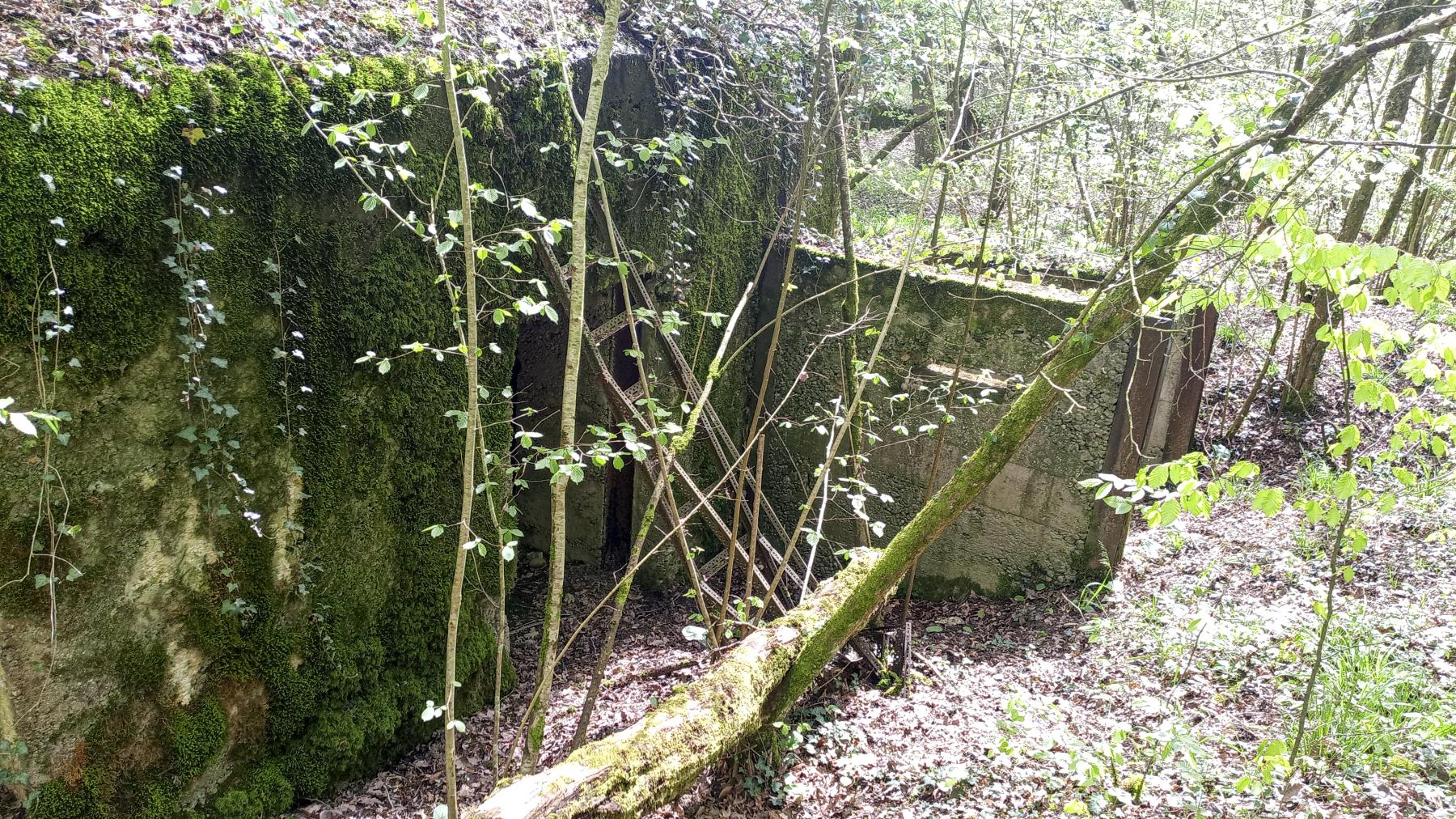 Ligne Maginot - CB202 - RETTELBOURG 1 - (Blockhaus pour canon) - L'entrée du matériel - Marc Fossoul
