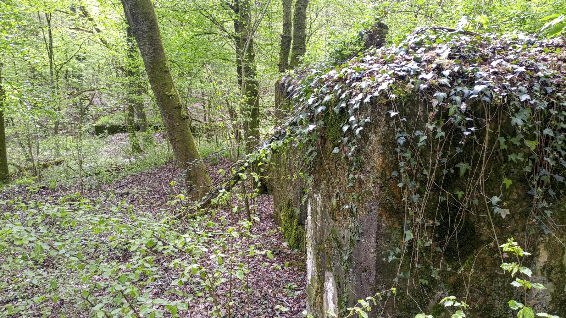 Ligne Maginot - CB202 - RETTELBOURG 1 - (Blockhaus pour canon) - Le Cb280 n'est pas loin - Marc Fossoul