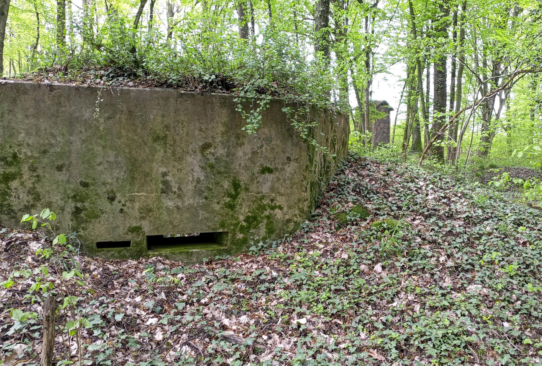 Ligne Maginot - CB119-C - OBERHEIDE 01 - (Blockhaus pour arme infanterie) - La façade - Marc Fossoul