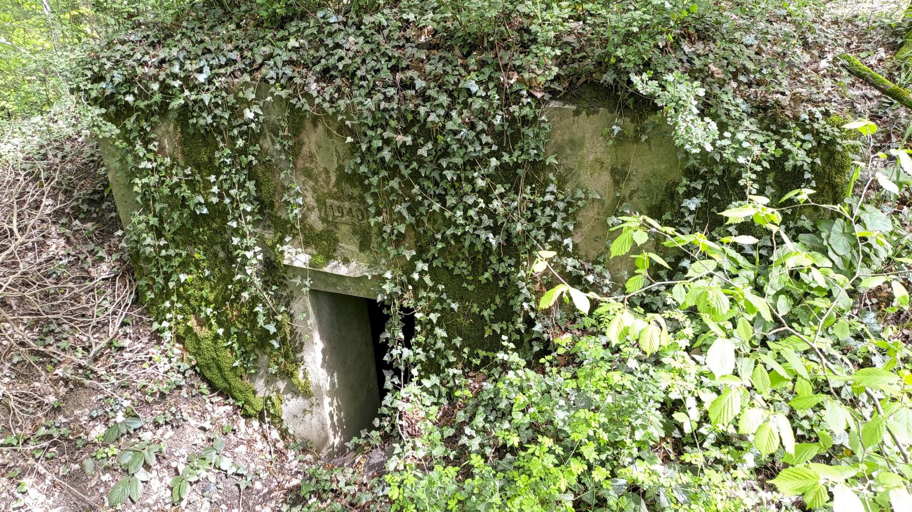 Ligne Maginot - CB119-C - OBERHEIDE 01 - (Blockhaus pour arme infanterie) - L'entrée - Marc Fossoul