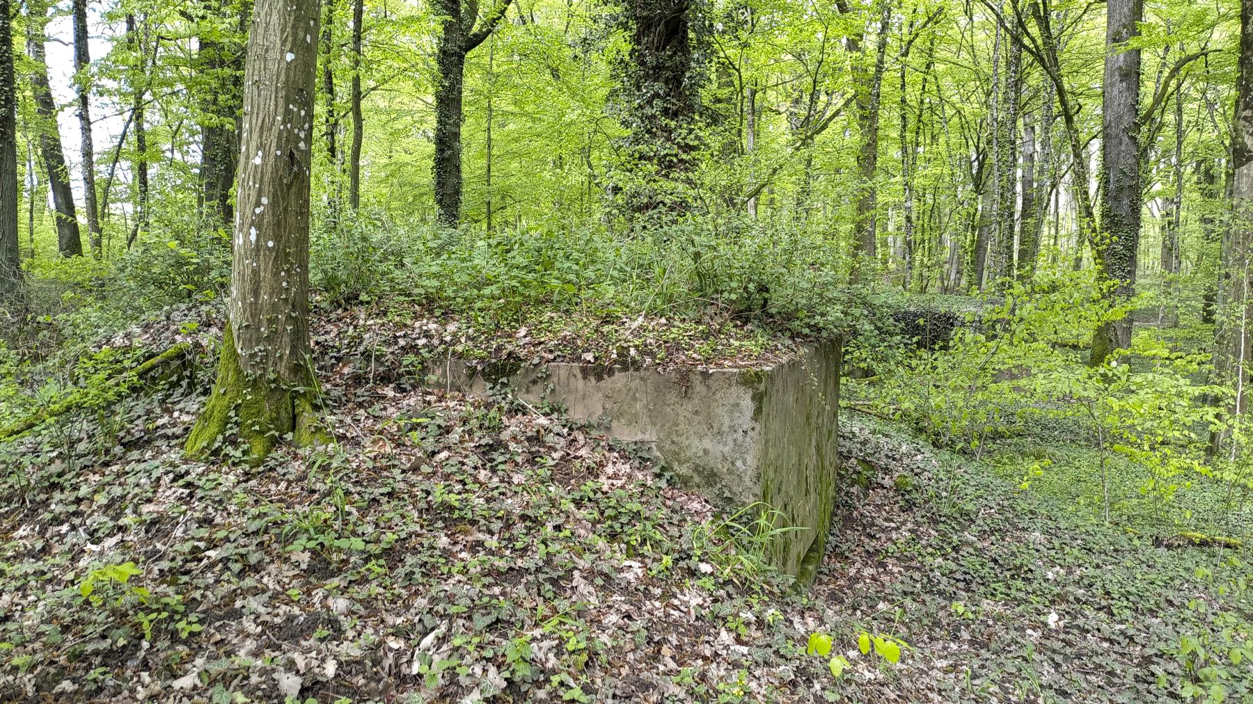 Ligne Maginot - CB119-C - OBERHEIDE 01 - (Blockhaus pour arme infanterie) - Le Cb118-C est tout proche - Marc Fossoul