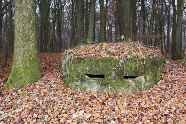 Ligne Maginot - CB203BIS - OBERHEIDE 06 - (Observatoire d'artillerie) - Le petit poste d'observation.