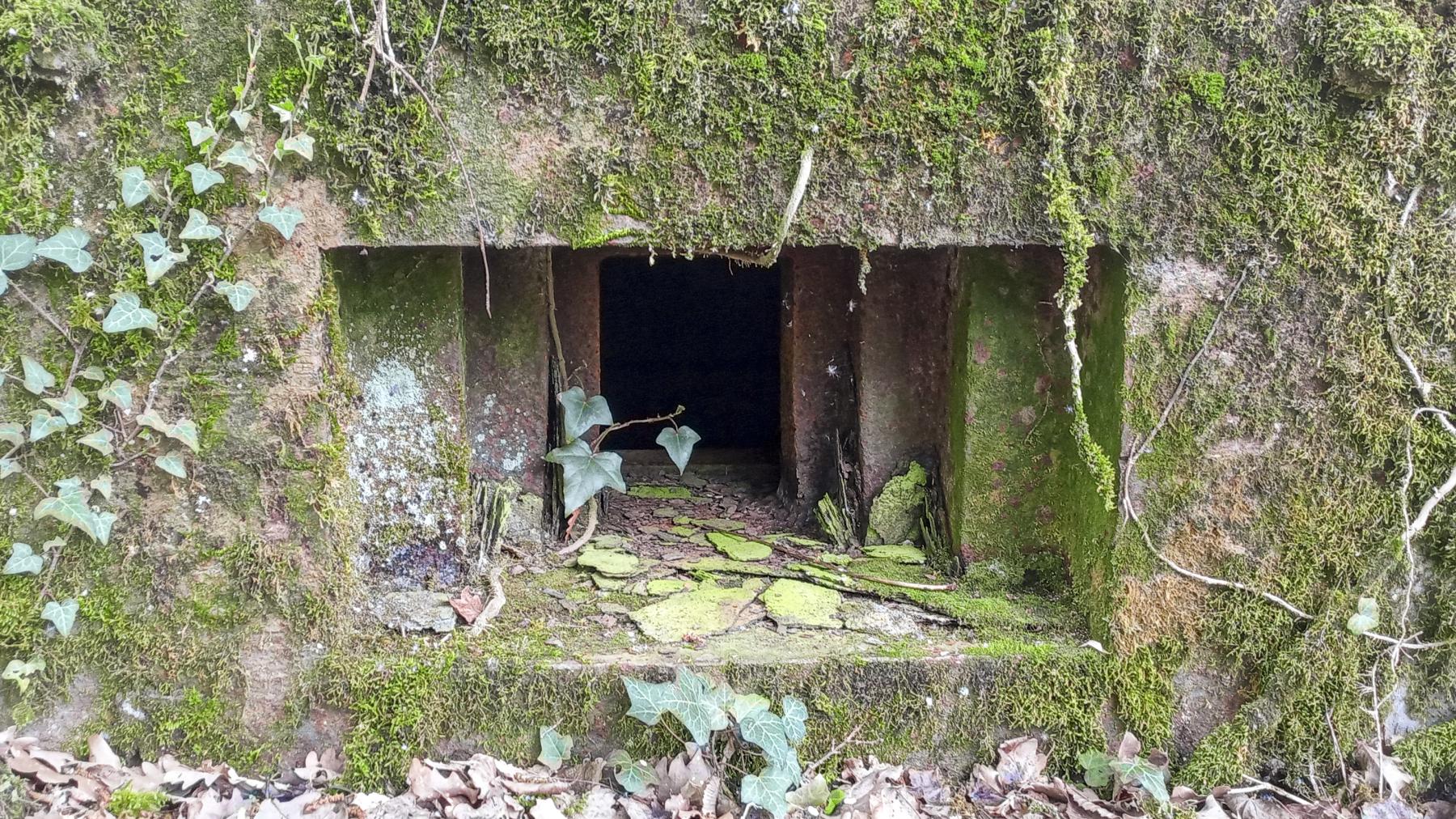 Ligne Maginot - CB204 - LONKICH 01 - (Blockhaus pour arme infanterie) - Le créneau - Marc Fossoul