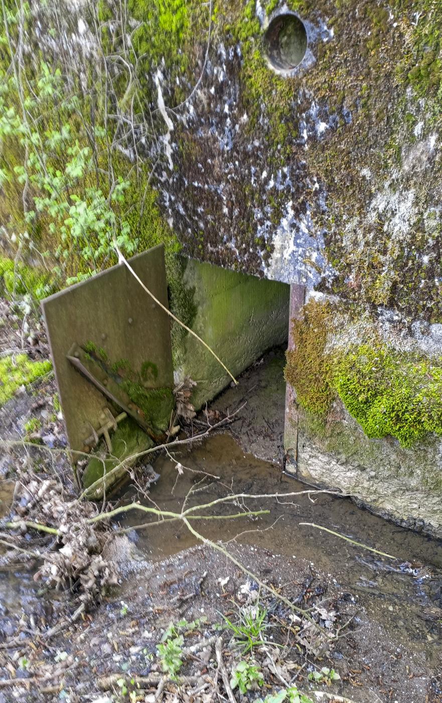 Ligne Maginot - CB204 - LONKICH 01 - (Blockhaus pour arme infanterie) - L'entrée - Marc Fossoul