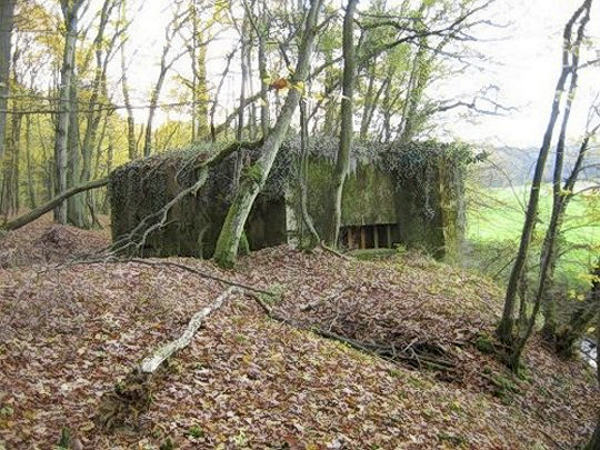 Ligne Maginot - CB205 - LONKICH 02 - (Blockhaus pour canon) -  - AALMA - lignemaginot.com