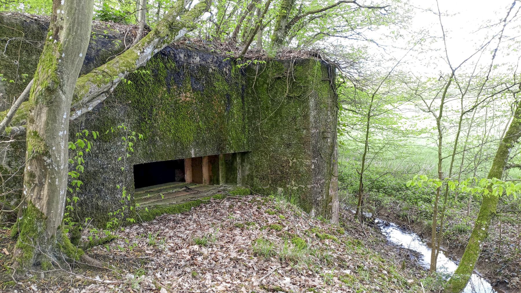 Ligne Maginot - CB205 - LONKICH 02 - (Blockhaus pour canon) - La façade - Marc Fossoul